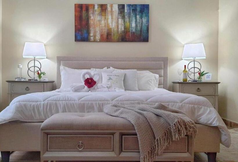 带大床的豪华间, Villa Alejandro