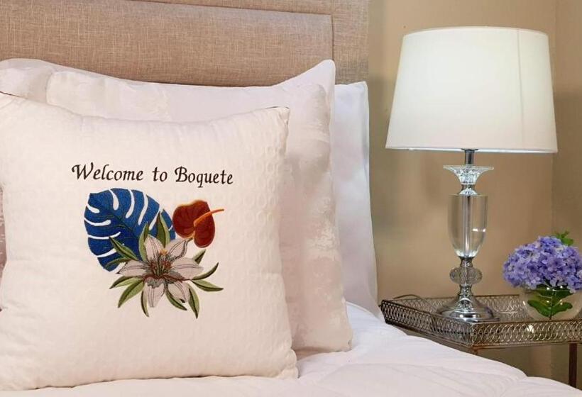 标准间, Villa Alejandro