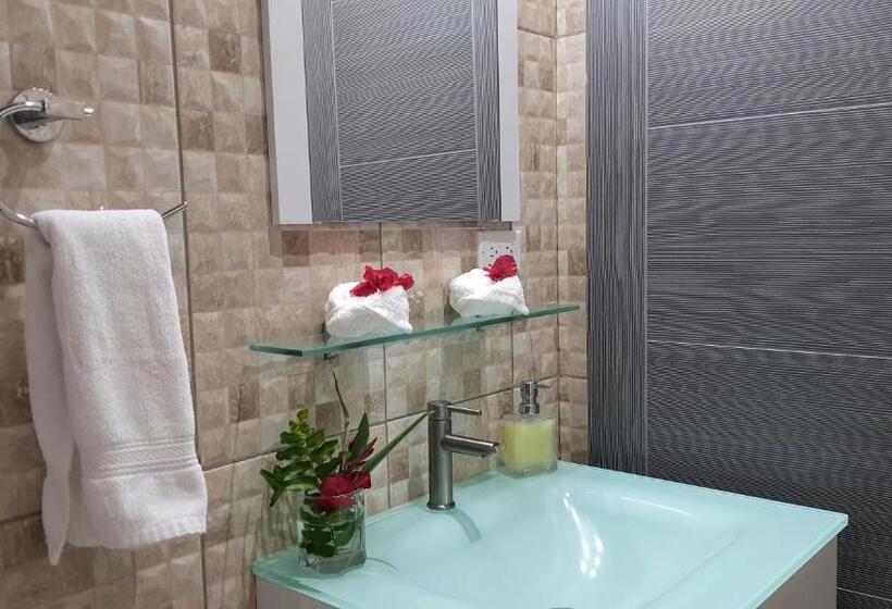 豪华工作室, Villa Alejandro