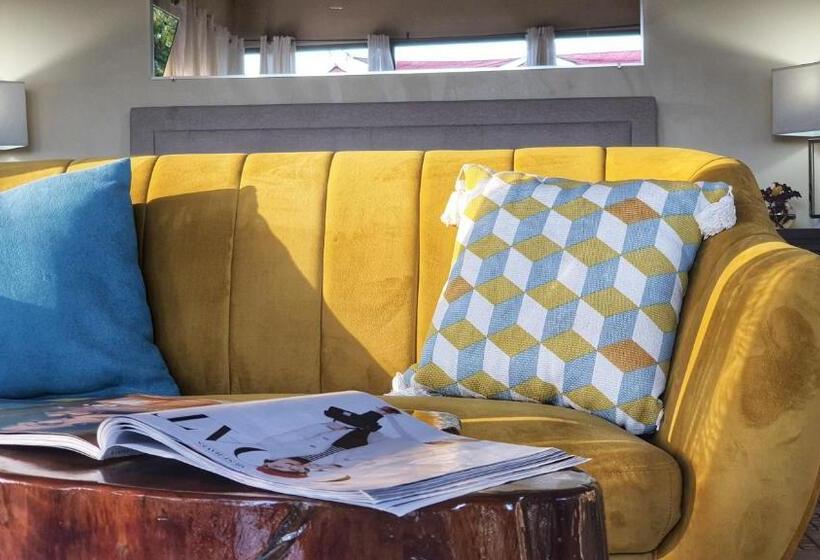 豪华工作室, Villa Alejandro