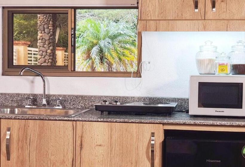 带1个卧室的豪华公寓, Villa Alejandro