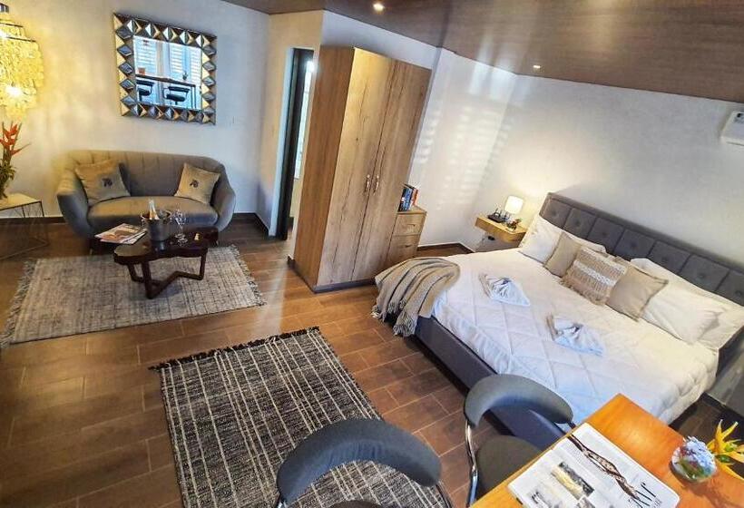 带1个卧室的豪华公寓, Villa Alejandro