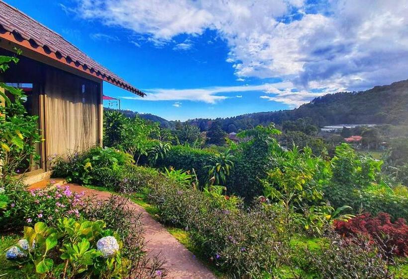 디럭스 스튜디오, Villa Alejandro