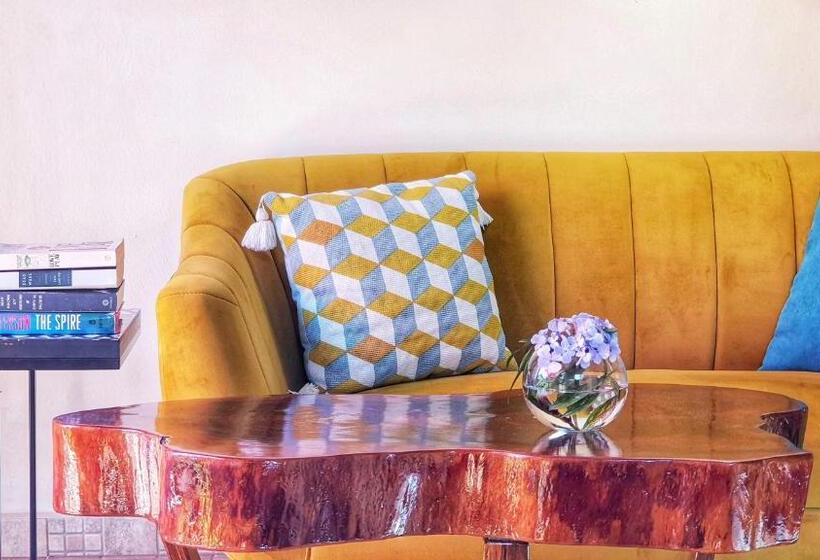 豪华工作室, Villa Alejandro