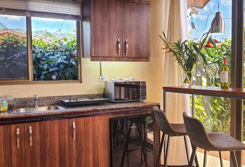 豪华工作室, Villa Alejandro