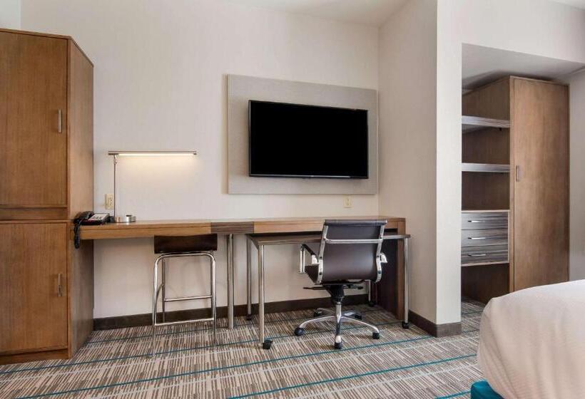 سوئیت با تخت بزرگ, Mainstay Suites East Camden