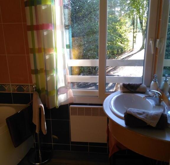 חדר סטנדרט נוף לאגם, Hôtel Du Lac