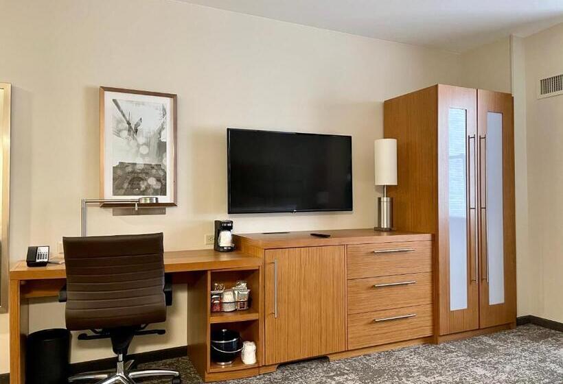 חדר סטנדרט עם מיטת קינג, Hyatt Place Houston Downtown