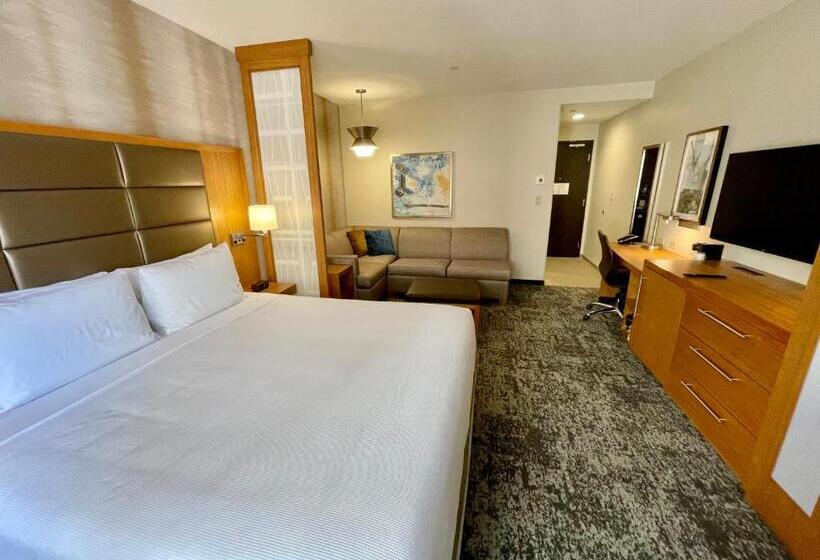 חדר סטנדרט עם מיטת קינג, Hyatt Place Houston Downtown