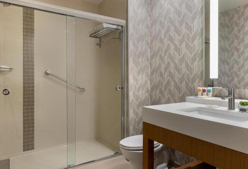 キングサイズベッドのスタンダードルーム, Hyatt Place Houston Downtown