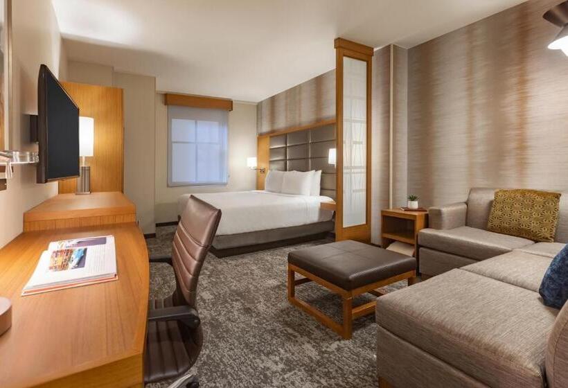 キングサイズベッドのスタンダードルーム, Hyatt Place Houston Downtown