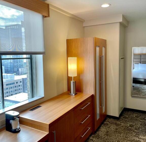 スタンダードシティビュールーム, Hyatt Place Houston Downtown