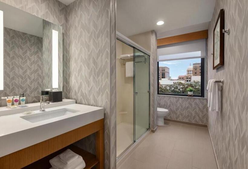 חדר סטנדרט נוף לעיר, Hyatt Place Houston Downtown