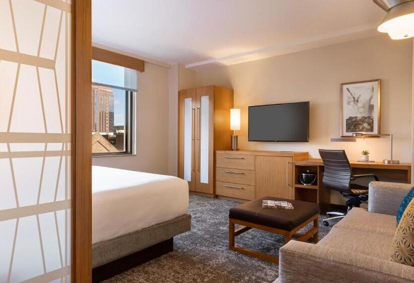 חדר סטנדרט נוף לעיר, Hyatt Place Houston Downtown