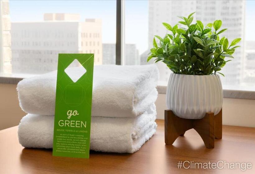 חדר סטנדרט נוף לעיר, Hyatt Place Houston Downtown