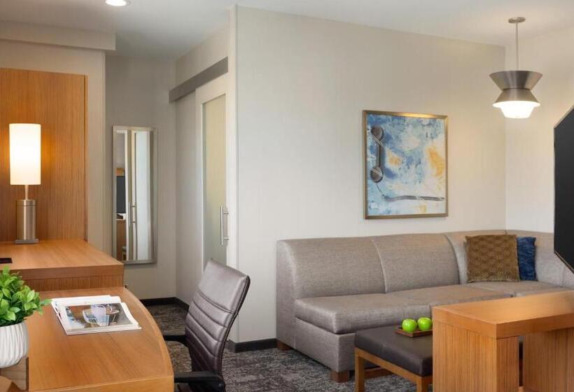 חדר סטנדרט בקומת סופריור, Hyatt Place Houston Downtown