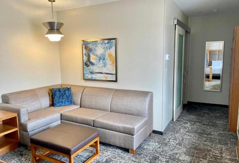 חדר סטנדרט בקומת סופריור, Hyatt Place Houston Downtown