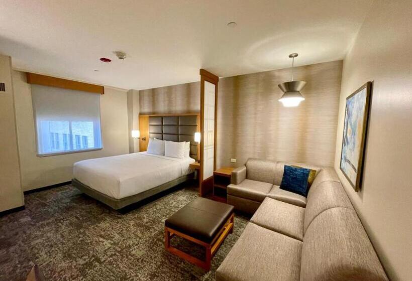 חדר סטנדרט בקומת סופריור, Hyatt Place Houston Downtown