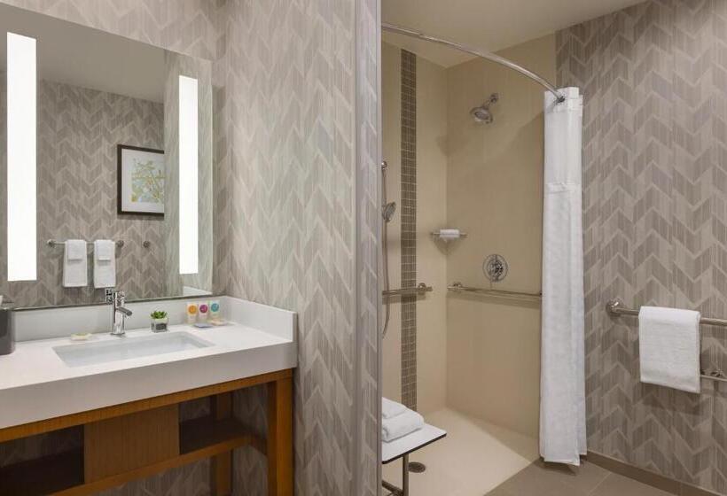 身障者適用キングサイズベッドルーム, Hyatt Place Houston Downtown