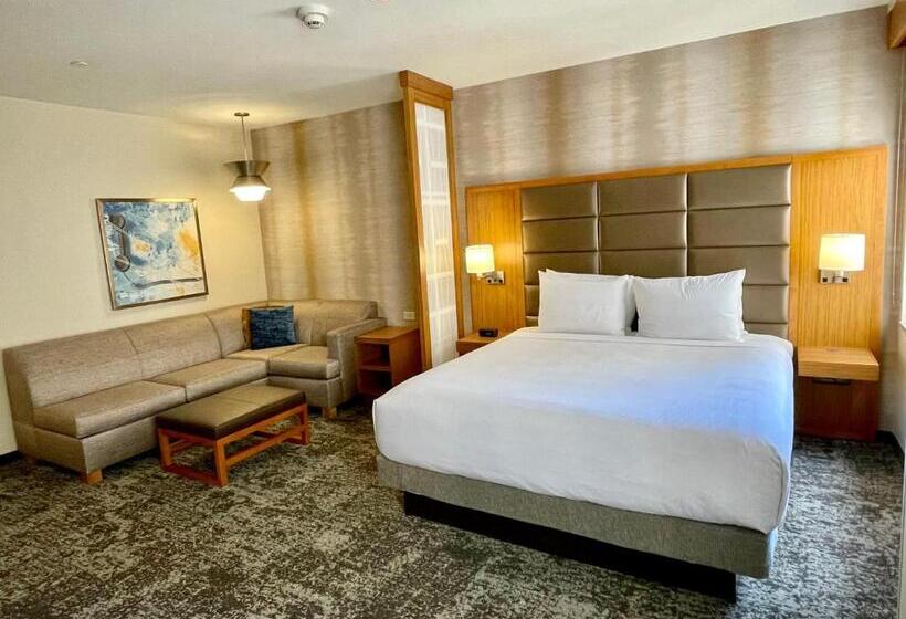 חדר סטנדרט, Hyatt Place Houston Downtown