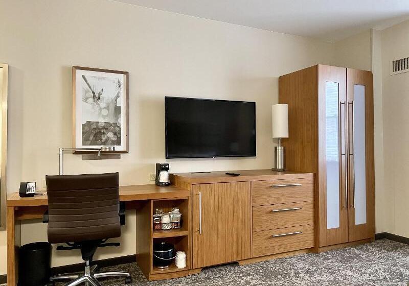 חדר סטנדרט עם מיטת קינג, Hyatt Place Houston Downtown