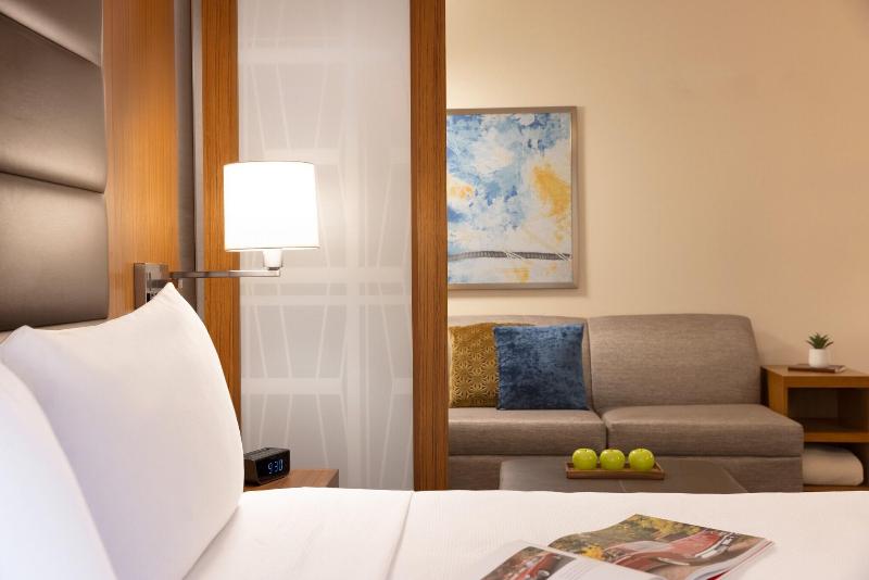 חדר סטנדרט מותאם לאדם עם מוגבלויות, Hyatt Place Houston Downtown