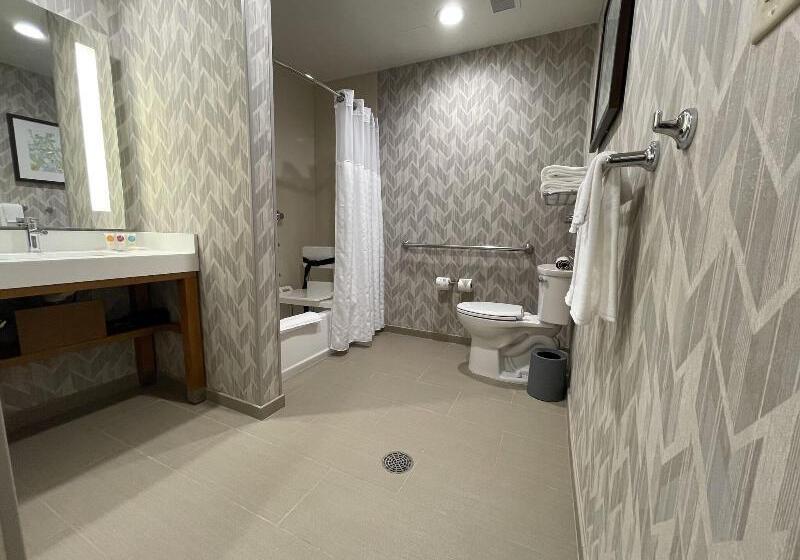 身障者適用スタンダードルーム, Hyatt Place Houston Downtown