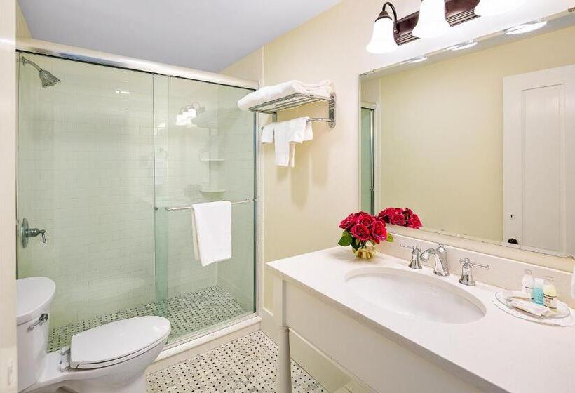 Номер Deluxe Кровать Кинг, East Wind Inn & Suites