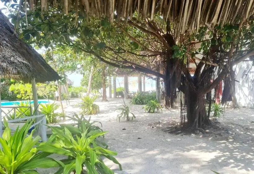 デラックスルーム, Garden Beach Bungalows Jambiani