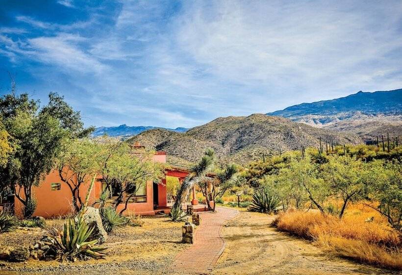 اتاق استاندارد با تخت دو نفره بزرگ, Tanque Verde Guest Ranch