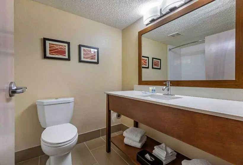 اتاق استاندارد, Comfort Inn N Myrtle Beach Barefoot Landing
