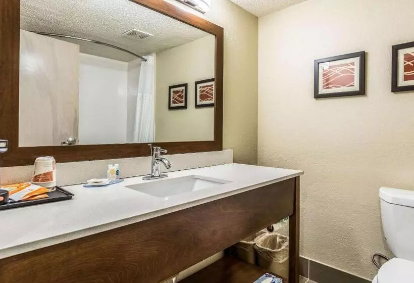 اتاق استاندارد با تخت بزرگ, Comfort Inn N Myrtle Beach Barefoot Landing