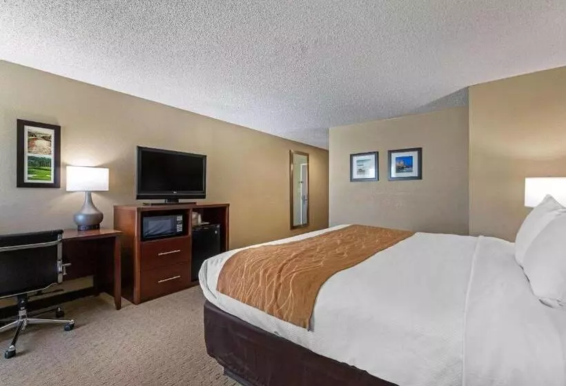اتاق استاندارد با تخت بزرگ, Comfort Inn N Myrtle Beach Barefoot Landing