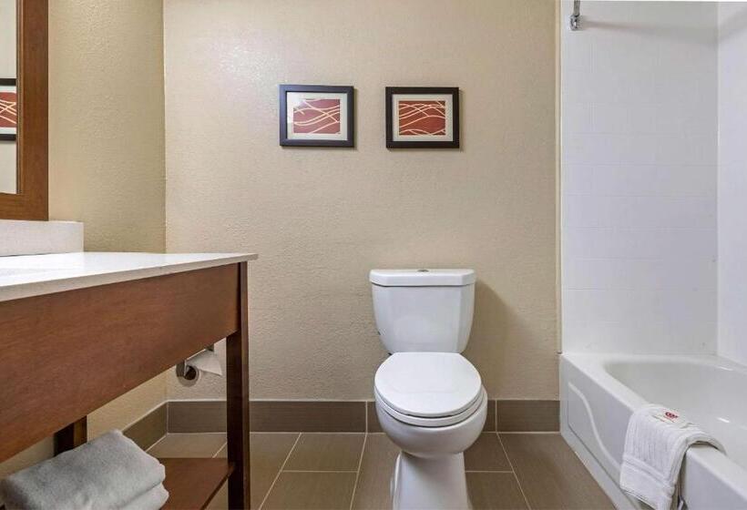 스탠다드 룸 킹사이즈 침대, Comfort Inn N Myrtle Beach Barefoot Landing