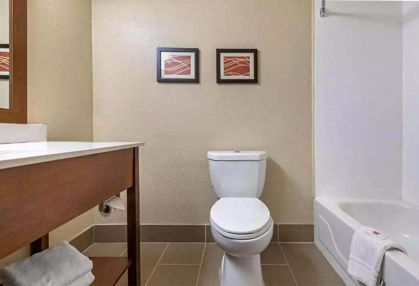 اتاق استاندارد با تخت بزرگ, Comfort Inn N Myrtle Beach Barefoot Landing