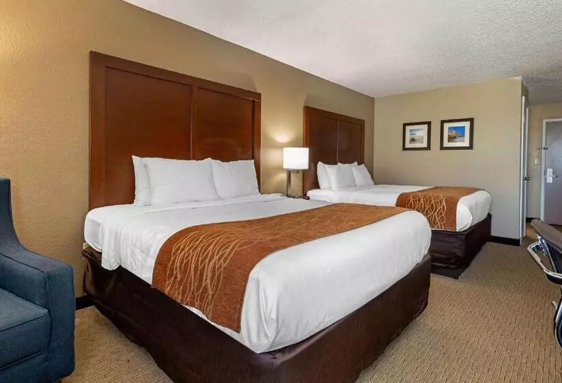 اتاق استاندارد برای معلولان, Comfort Inn N Myrtle Beach Barefoot Landing