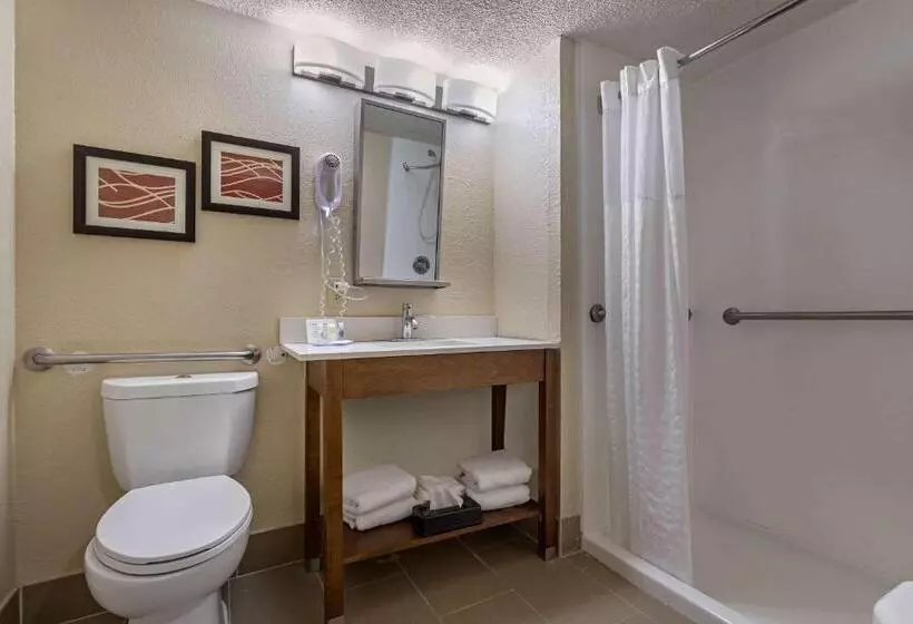 اتاق استاندارد برای معلولان, Comfort Inn N Myrtle Beach Barefoot Landing