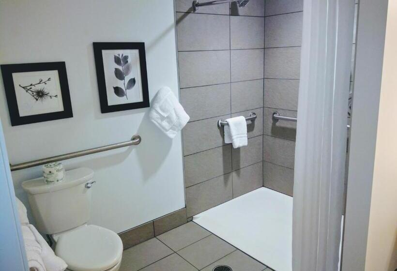 Standard Værelse King Size Seng, Country Inn & Suites By Radisson, Seattle Tacoma International Airport, Wa