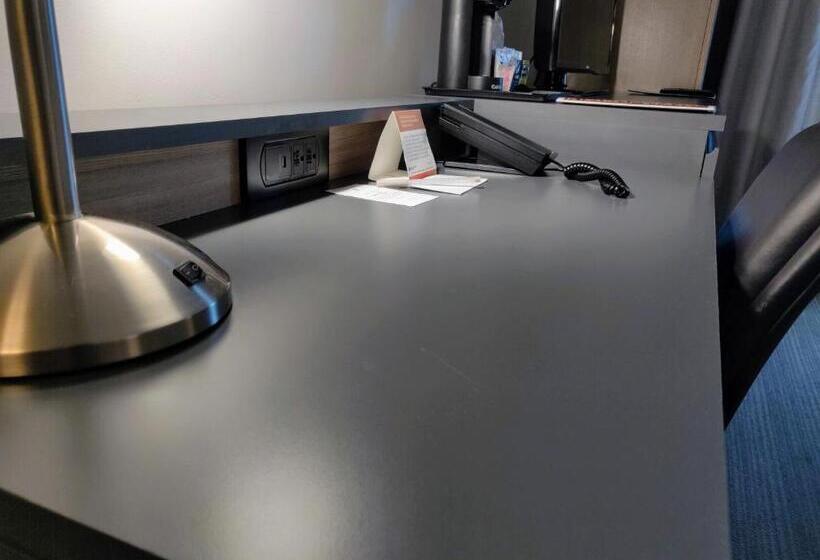 キングサイズベッドのスタンダードルーム, Country Inn & Suites By Radisson, Seattle Tacoma International Airport, Wa