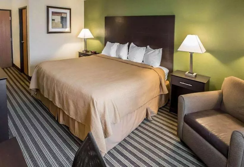 キングサイズベッドのスタンダードルーム, Quality Inn Chesterton Near Indiana Dunes National Park I94