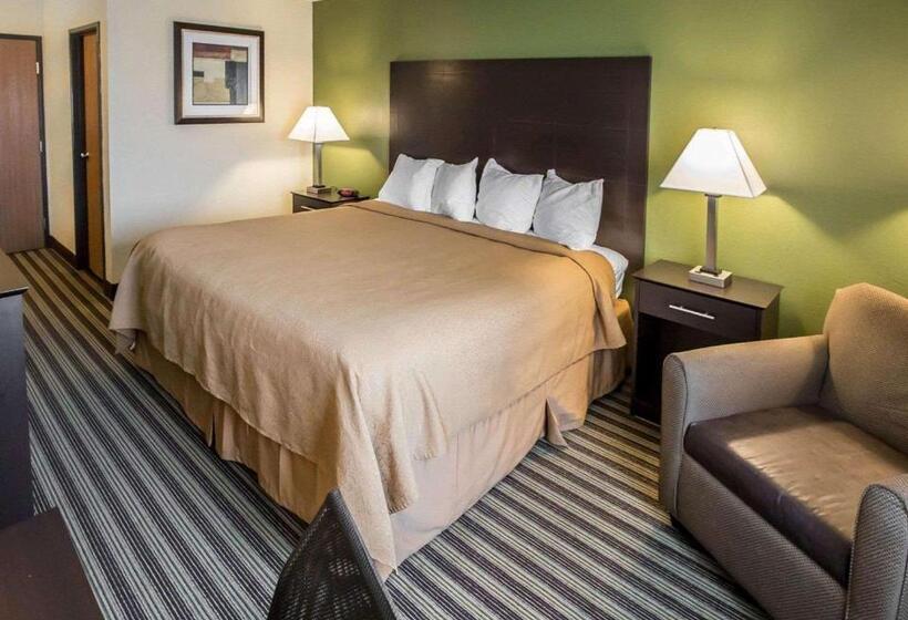 Quarto Estandar Cama King para Deficientes Físicos, Quality Inn Chesterton Near Indiana Dunes National Park I94