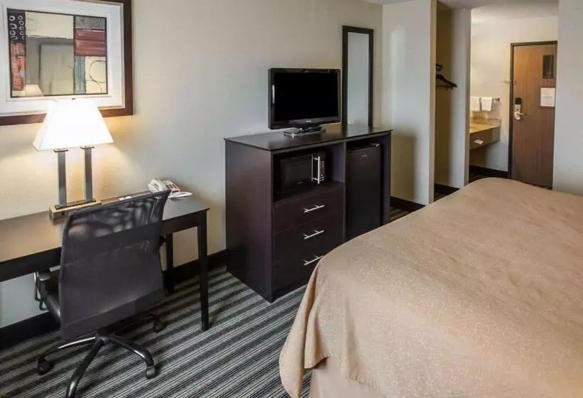 身障者適用キングサイズベッドルーム, Quality Inn Chesterton Near Indiana Dunes National Park I94