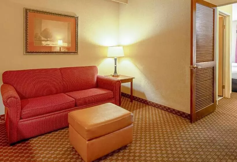 キングサイズベッドのスイートルーム, Quality Suites San Antonio Northeast
