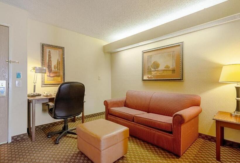 جناح سرير كينج, Quality Suites San Antonio Northeast