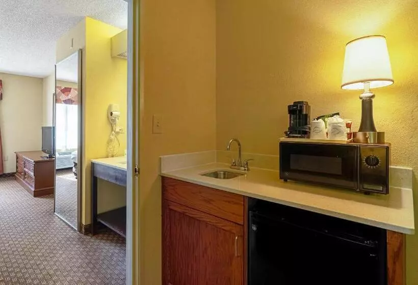 キングサイズベッドのスイートルーム, Quality Suites San Antonio Northeast