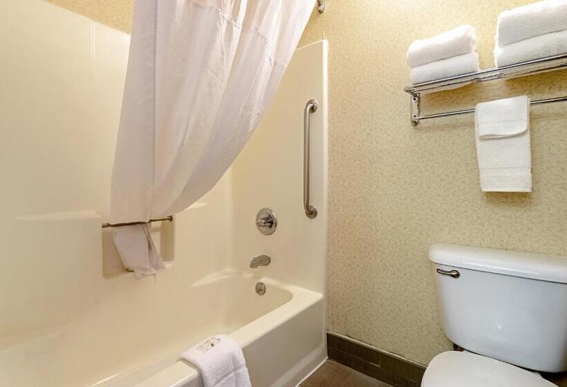 جناح سرير كينج, Quality Suites San Antonio Northeast