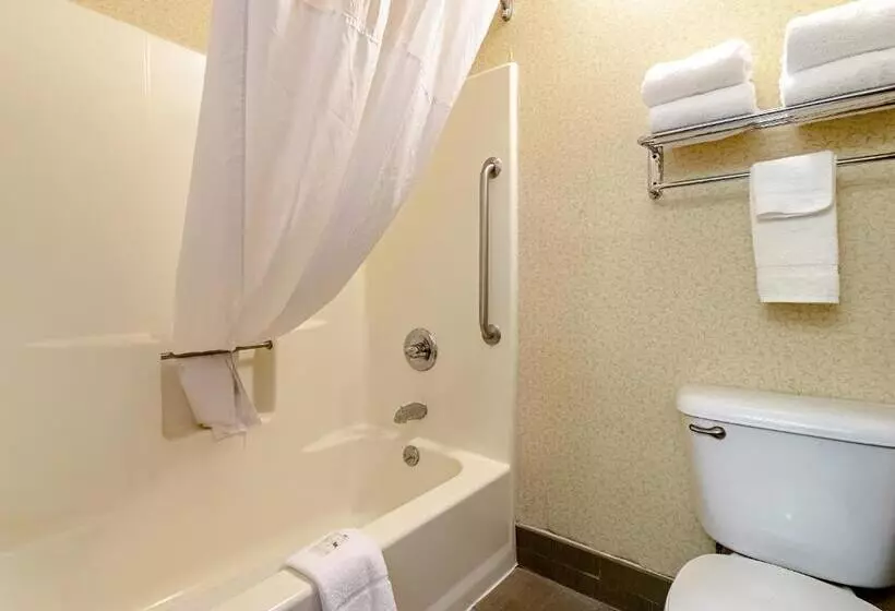 キングサイズベッドのスイートルーム, Quality Suites San Antonio Northeast