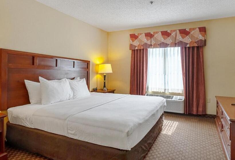 جناح سرير كينج, Quality Suites San Antonio Northeast