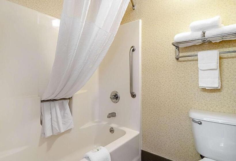 جناح لذوى الاحتياجات الخاصة, Quality Suites San Antonio Northeast