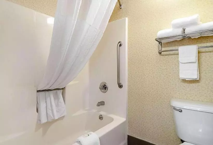 身障者適用スイートルーム, Quality Suites San Antonio Northeast